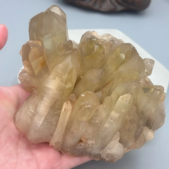 Natural Citrine Cluster Specimen - Picture 5 of 6